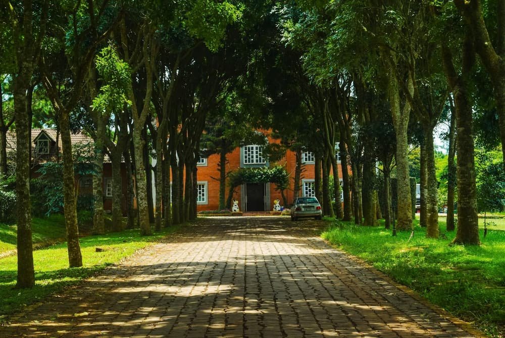 Garage door services in Dayton